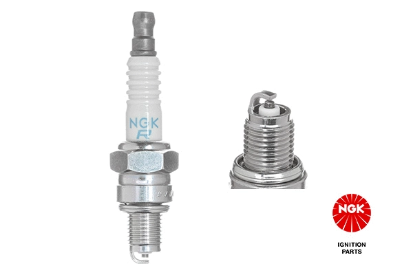 Spark Plug