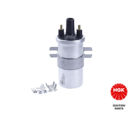 Ignition Coil (48343)