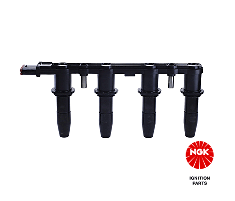 Ignition Coil (48004)