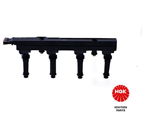 Ignition Coil (48135)