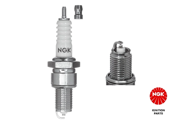 Spark Plug