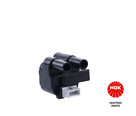 Ignition Coil (48020)