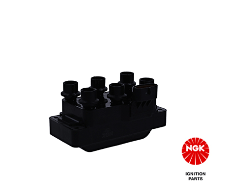Ignition Coil (48079)