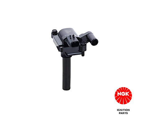 Ignition Coil (48264)