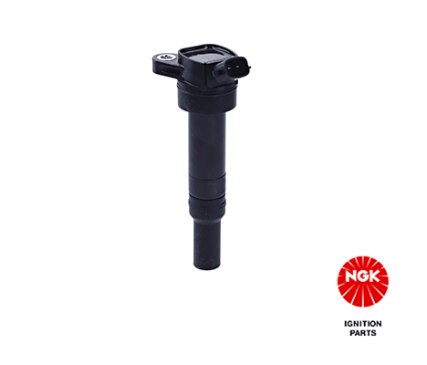 Ignition Coil (49059)