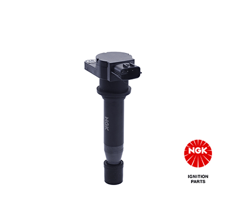 Ignition Coil (48136)