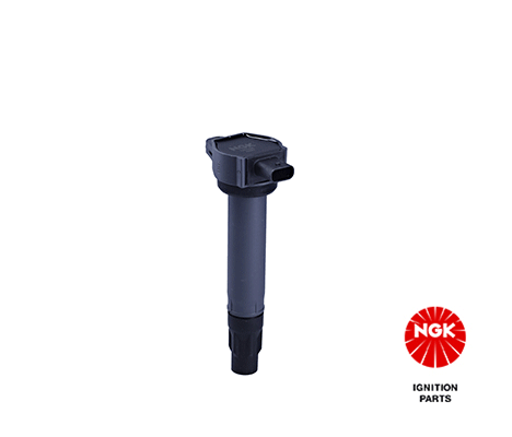 Ignition Coil (48321)
