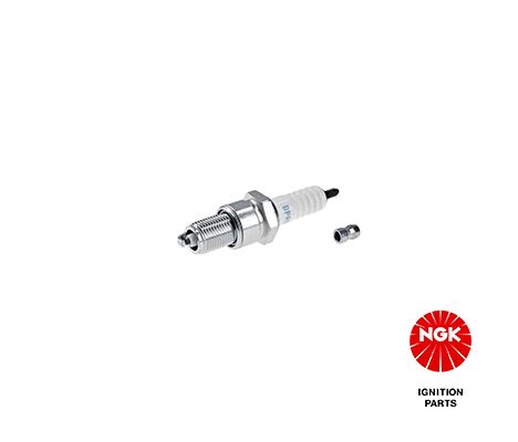 Spark Plug (2023)