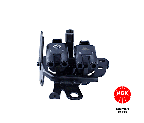 Ignition Coil (48166)