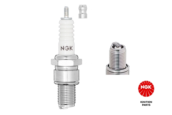 Spark Plug