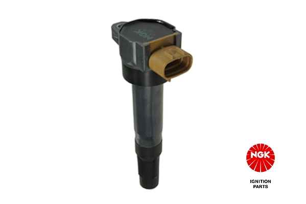 Ignition Coil (49047)