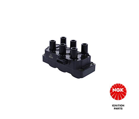 Ignition Coil (48193)