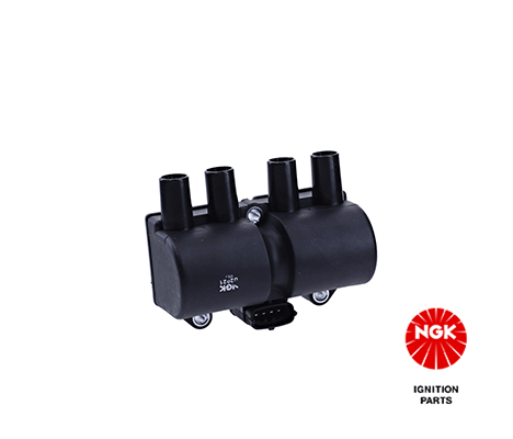 Ignition Coil (48080)