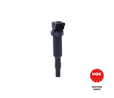 Ignition Coil (48216)