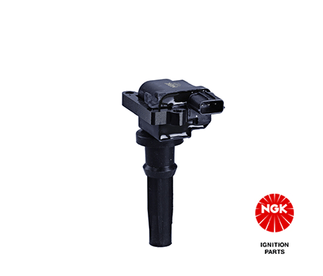 Ignition Coil (48134)