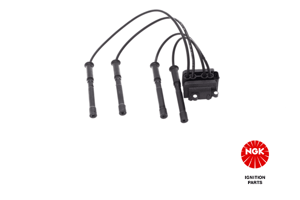 Ignition Coil (48007)