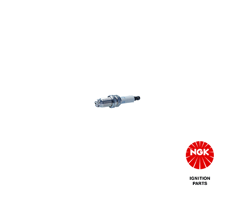 Spark Plug (6449)