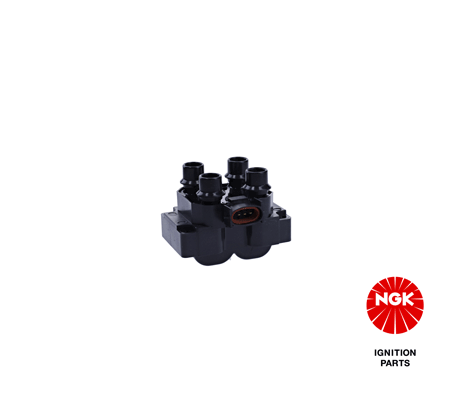 Ignition Coil (48021)