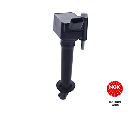 Ignition Coil (48402)