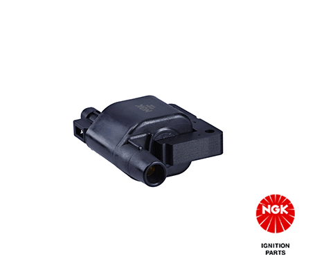 Ignition Coil (48117)