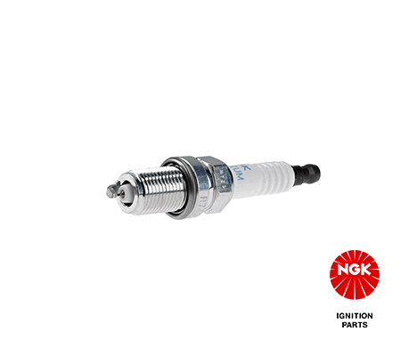 Spark Plug (4895)