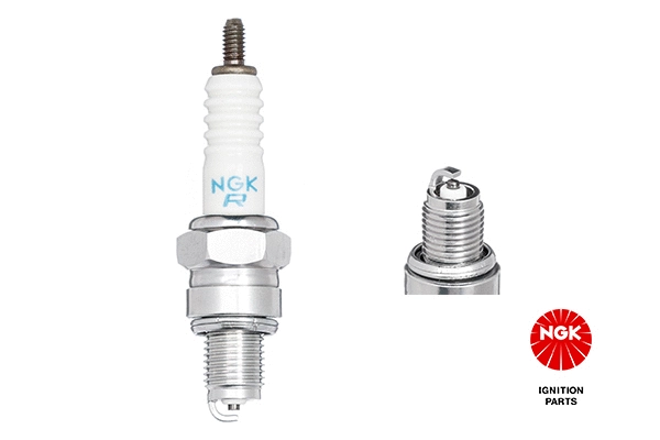 Spark Plug