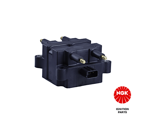 Ignition Coil (48255)