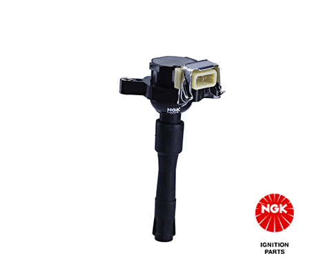 Ignition Coil (48009)