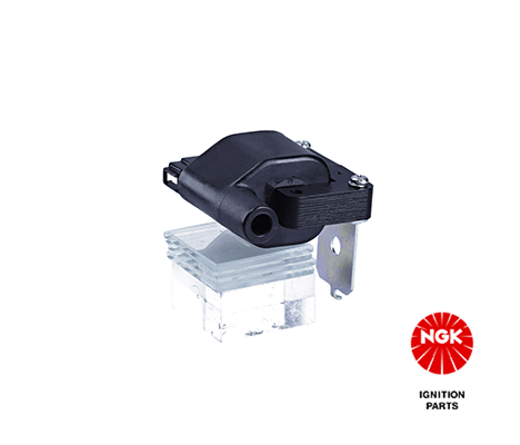 Ignition Coil (48181)