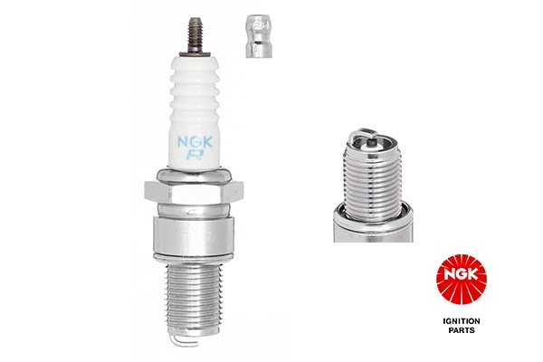 Spark Plug