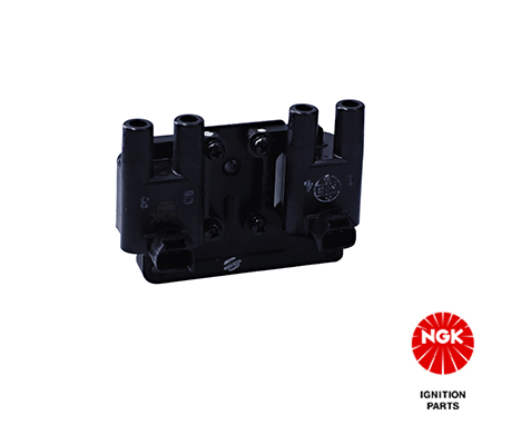 Ignition Coil (48289)