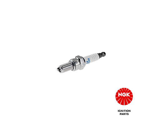 Spark Plug (6955)