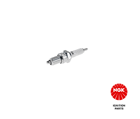 Spark Plug (5829)