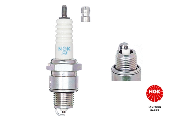 Spark Plug