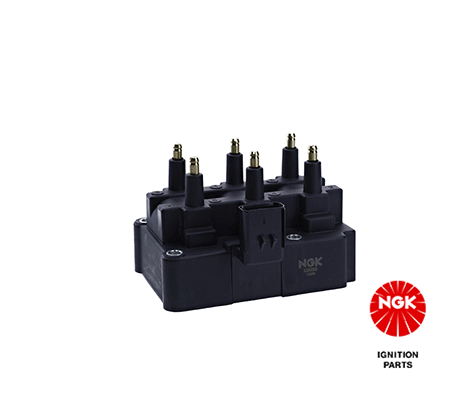 Ignition Coil (48261)
