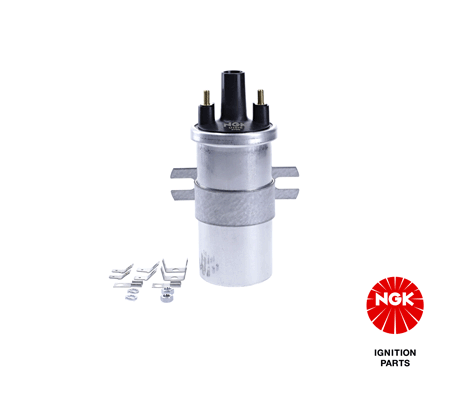 Ignition Coil (48339)