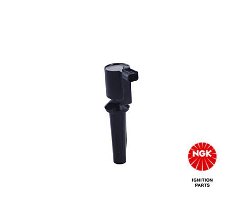 Ignition Coil (48063)