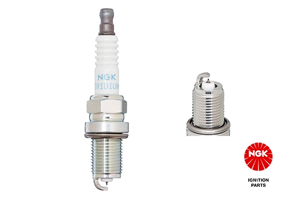 Spark Plug