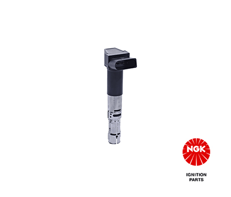 Ignition Coil (48165)