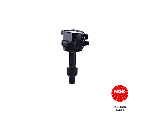 Ignition Coil (48171)