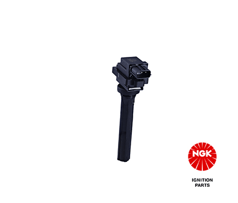 Ignition Coil (48281)