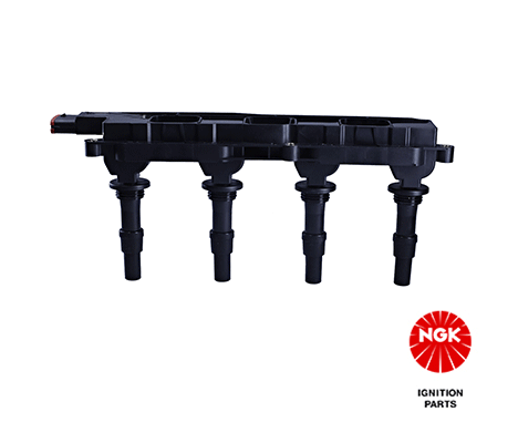 Ignition Coil (48011)