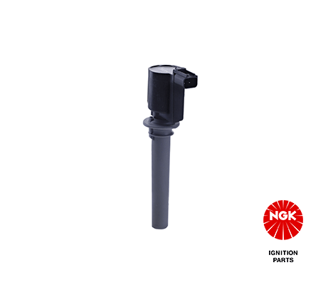 Ignition Coil (48222)