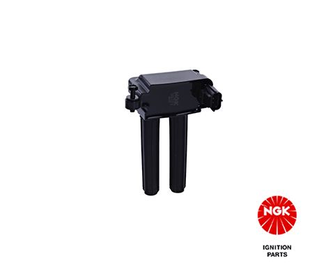Ignition Coil (48265)
