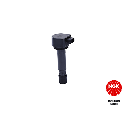 Ignition Coil (48266)