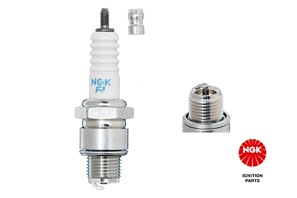 Spark Plug