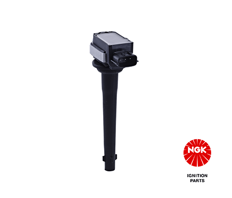 Ignition Coil (48162)