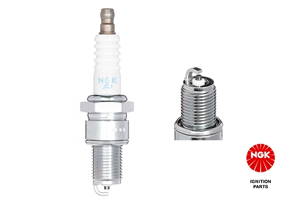 Spark Plug