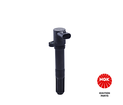Ignition Coil (48061)