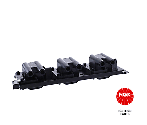 Ignition Coil (48251)